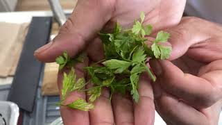 tarragon herb butter
