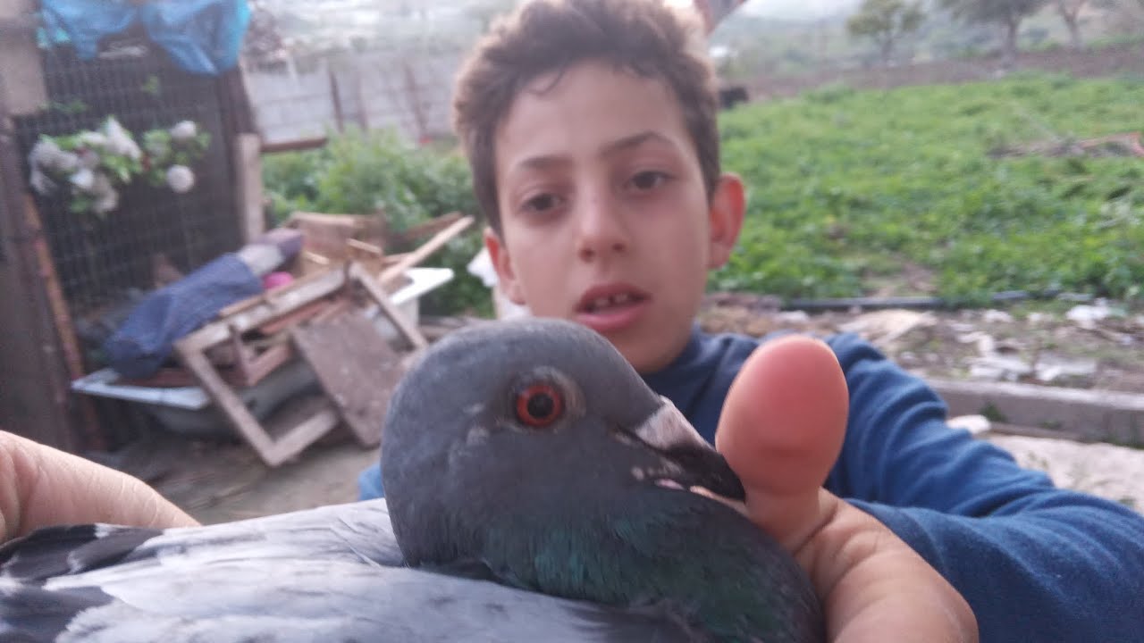 تولعا هربانه ديال بصح اخوتي مرحبا بك عندي في قنت مرحبا بل جميع