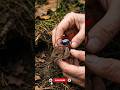 😳 Mouse Camera POV Captures a Hidden Treasure in Its Nest! 🐭 #shorts