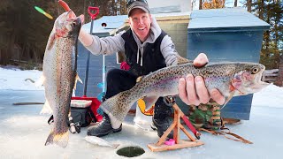Building $0 Ice Fishing Shack - Zero Cost, DIY, Pop-Up (5 minute build)