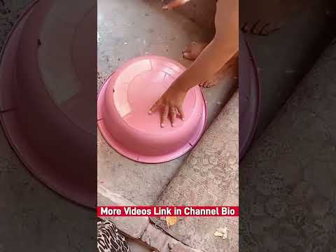 A Girl Slaughters A Chicken Ladyslaughter 