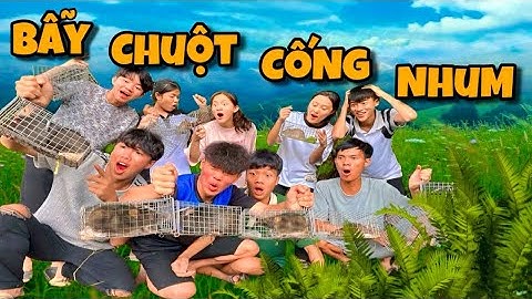 Anh Ba Phai | Thử Thách Đặt Bẫy Chuột | Mousetrap