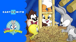 Baby Looney Tunes | Granny's Cookies | Cartoonito UK Resimi