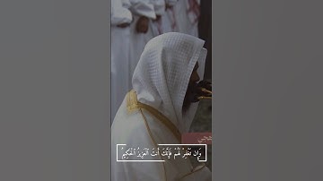 تبارك الله نهاية سورة المائدة بصوت الشيخ #محمد_البرهجي #قرآن