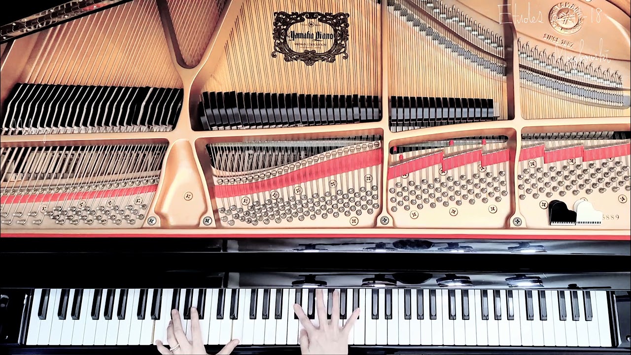 20の小練習曲 第18番 : モシュコフスキー作曲/20 Petites Etudes Op.91