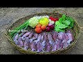 Fried Yummy Squids In Forest Eating Delicious For Dinner