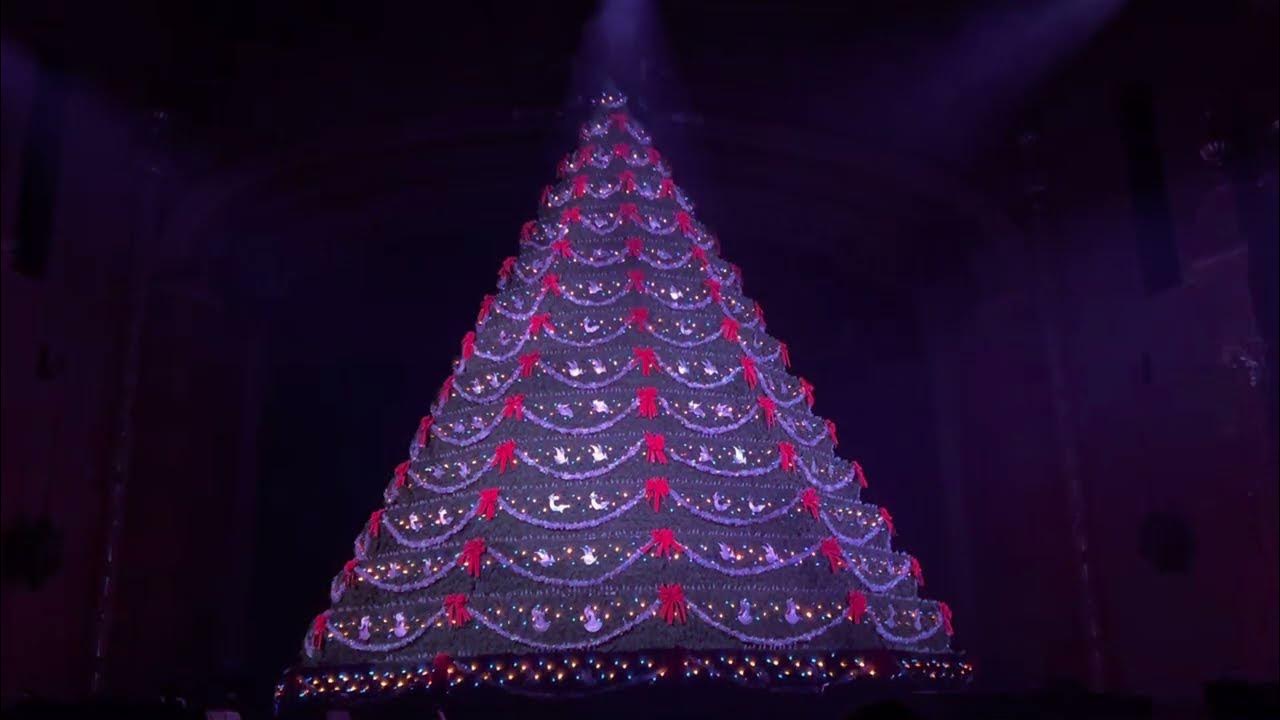 Our Tree Comes Alive Mona Shores Singing Christmas Tree 2022 YouTube
