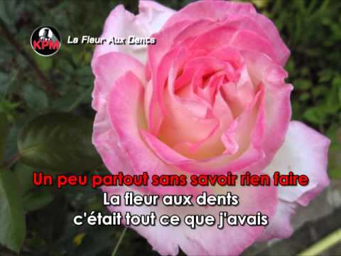 La Fleur Aux Dents Karaoké - Joe Dassin* - YouTube