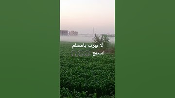 #تلاوة_خاشعة #سورة غافر #وقال فرعون #قران_كريم #wesam