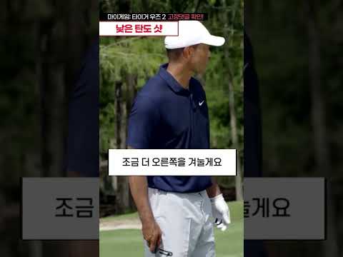 🐯타이거 우즈가 알려주는 낮은 <strong>탄도</strong> 샷 비법!  #Shorts