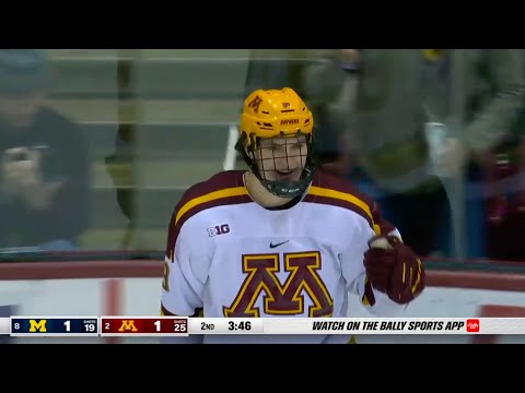 Warroad's defenders quietly drive team to Minnesota's top seed - The Rink  Live