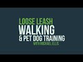 Loose Leash Walking & Pet Dog Training with Michael Ellis