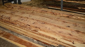 Wood-Mizer LT50 Sawing Hickory Part 1, REAL Time