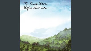 Video thumbnail of "The Black Crowes - Fork in the River"