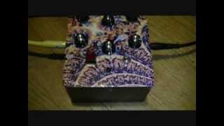 Monomaniacal Reincarnator - Feedback Looper with Tremolo and Lowpass