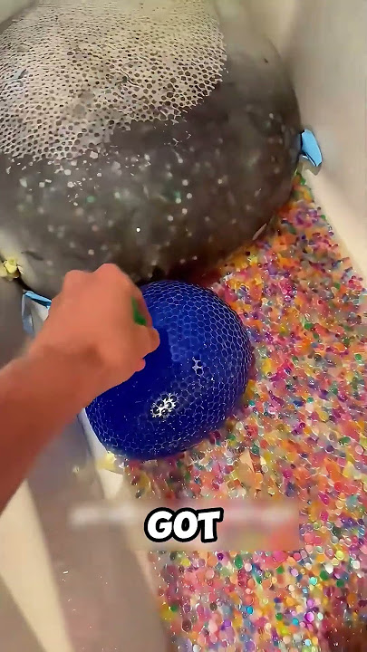 The ending is just a cringe😪