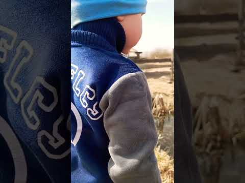 Сводили Уток на