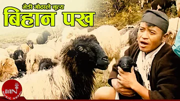 विहानी र पख त्यै झुल्के घाम - भेडी गोठाले नृत्य | BHEDI GOTHALE NRITYA - BIHANI PAKHA, ARUN UPATYAKA