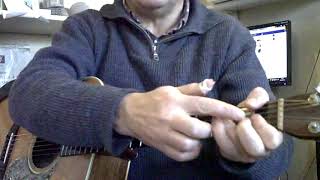 Shuffle Rag (Big Bill Broonzy) Lesson by www.michel-lelong-music-house.com