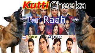 Kutti Cheeka | Mere Apne  | Teri Raah  |ARY Digital Drama | Fasiq Drama Geo TV Drama | Hukam  2022 |