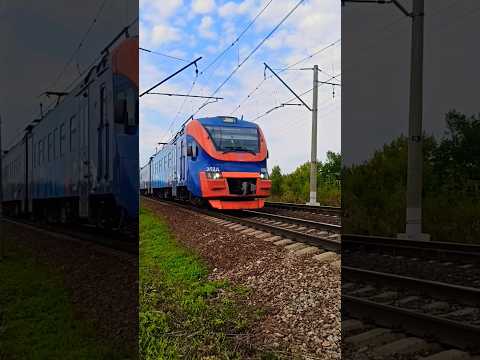 эп2д-0087 'Рекс' ст.Гривно