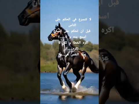 اروع الحكم و الاقوال تعرف عليها قبل فوات الاوانخ قبل ان تحكم على انسان اسمع منه و لا