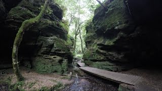 Wanderung Felsenweg 1 Luxenburgische Schweiz #2/2