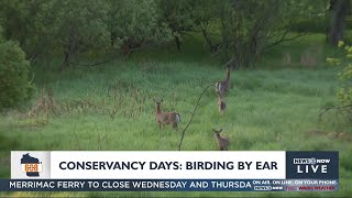 In the 608: "Birding by Ear" at Pheasant Branch Conservancy