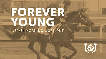 Forever Young (JPN) Works | April 30, 2024