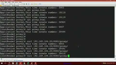 6 7 配置nginx反向代理实例~1