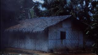 Relaxation Music For Deep Sleep || Beautiful Country Nature Sounds