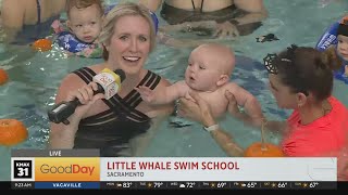 Little Whale Swim School