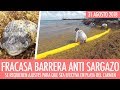 Fracasa barrera anti sargazo en Playa del Carmen