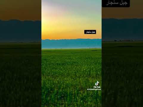 هوسه جبل سنجار