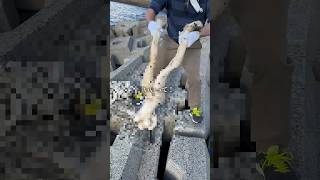 砂の下の調べ