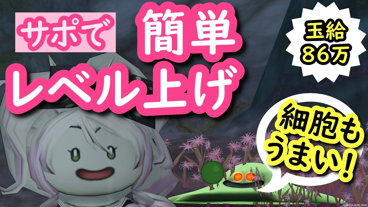 ドラクエ10 30分でサポと簡単レベル上げ 3 バブルスライム 強編 レベル上げながら魔因細胞も狩っちゃいます Dqx Youtube ドラクエ10 30分でサポと簡単レベル上げ 3 バブルスライム 強編 レベル上げながら魔因細胞も狩っちゃいます Dqx Youtube