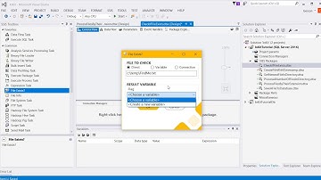 Check if a file exists in SSIS