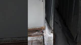 Взбодри прораба или о пользе заземления. Взбодри прораба или о пользе заземления.