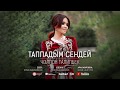 ПРЕМЬЕРА! Чолпон Талипбек - Таппадым сендей (audio)