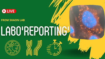 Labo