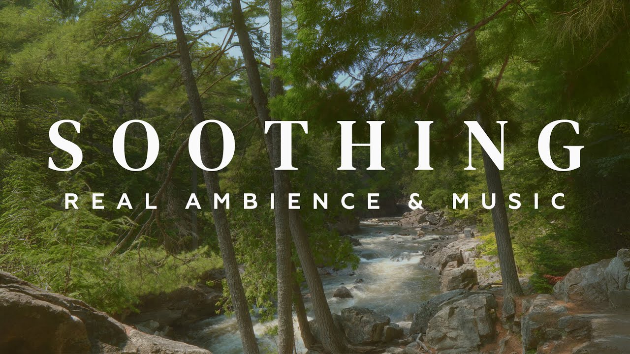 You're Having a Quiet Break by the River | Meditation Music & Stream Ambience | Rest, Breathe, Heal