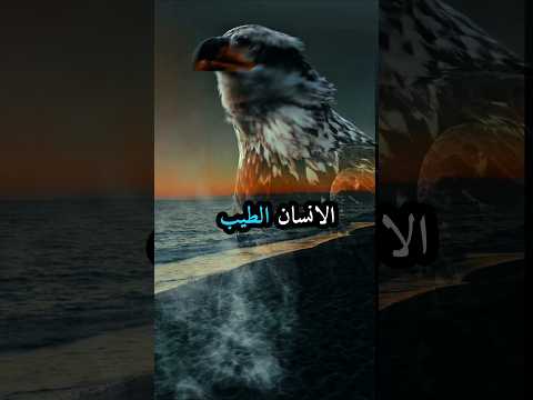 الأنسان الطيب اقنباسات عبارات كلام من ذهب تصميم فيديوهات حكمة اليوم حالات واتس خواطر