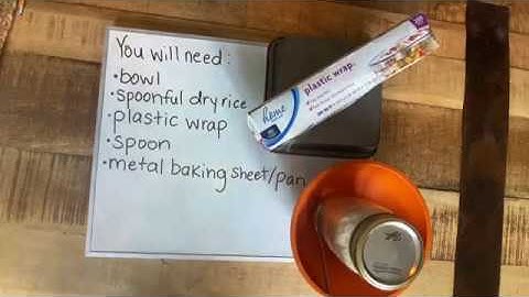 STEM activity: Sound waves and rice