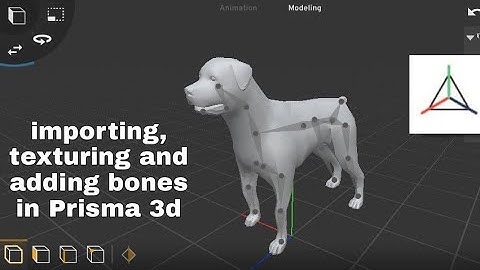 How to import 3D models to Prisma 3d: Texture, coloring and Rigging