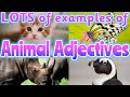 Animal Adjectives Quiz