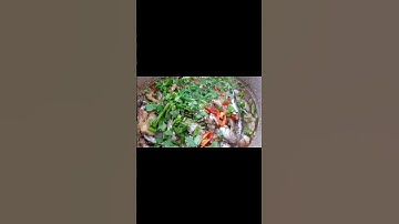 Cá Sát kho tiêu - Phần cuối