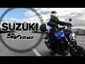 Suzuki SV650 мой выбор после Bajaj Dominar 400