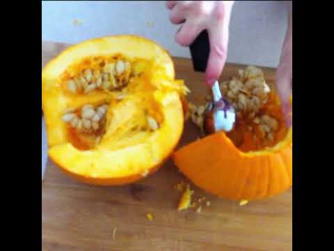 Video: Wild Wheat Dog Treat recept