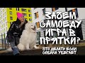 Самоед Миша играет в прятки  Как научить собаку не убегать