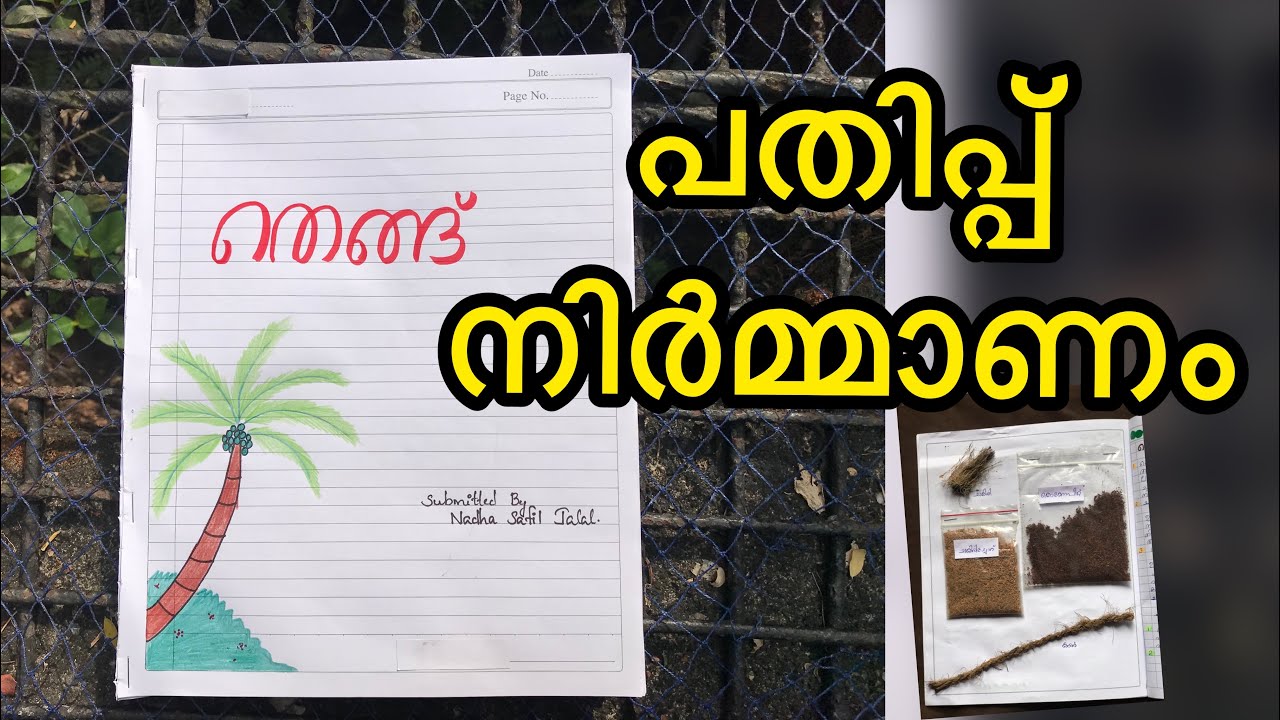 തെങ്ങ്/ പതിപ്പ് നിർമ്മാണം/ School Project on Coconut Tree/Pathippu Nirmanam/ School project